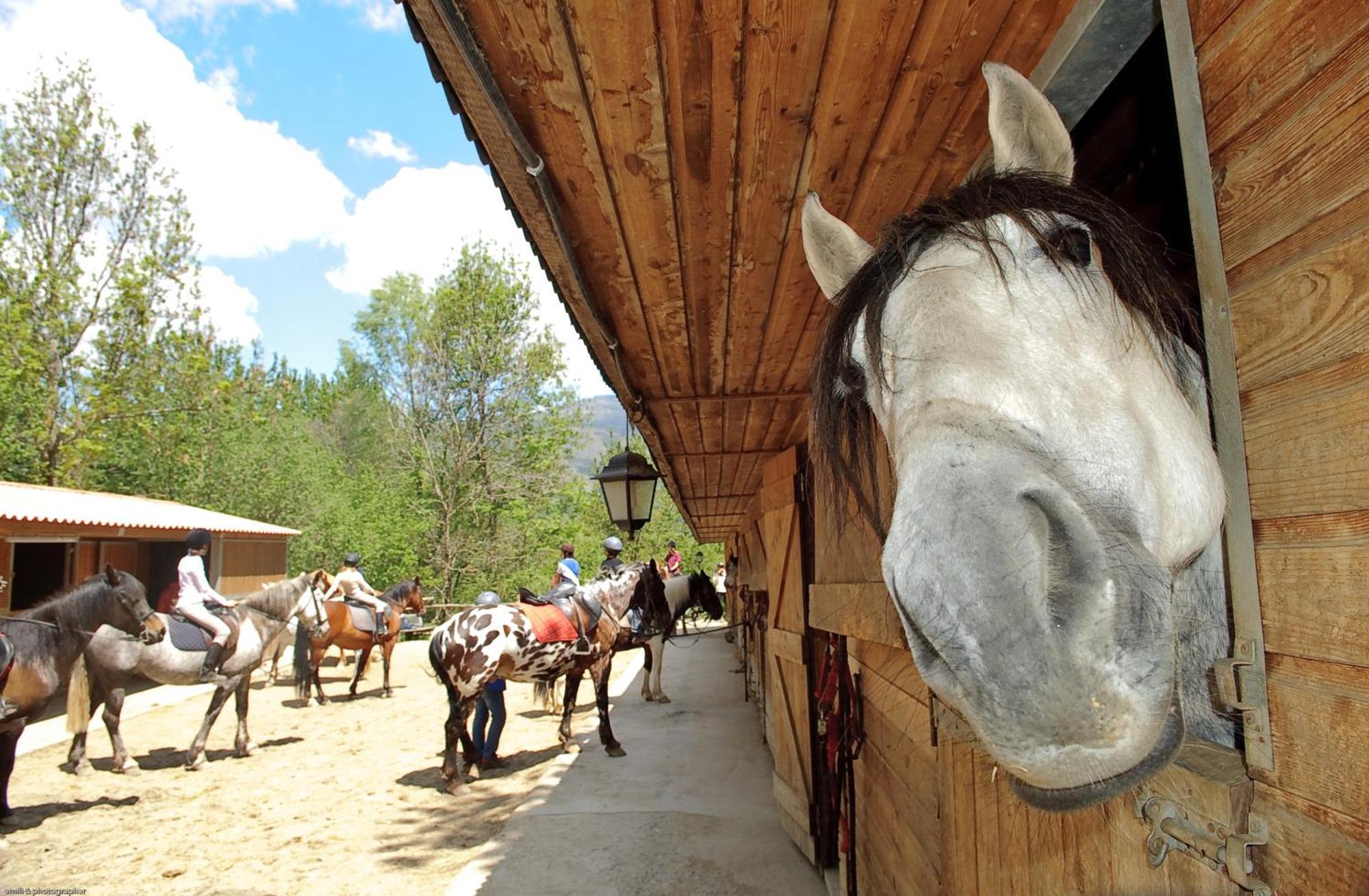Els Torrents Hotel Bellver De Cerdanya Eksteriør billede